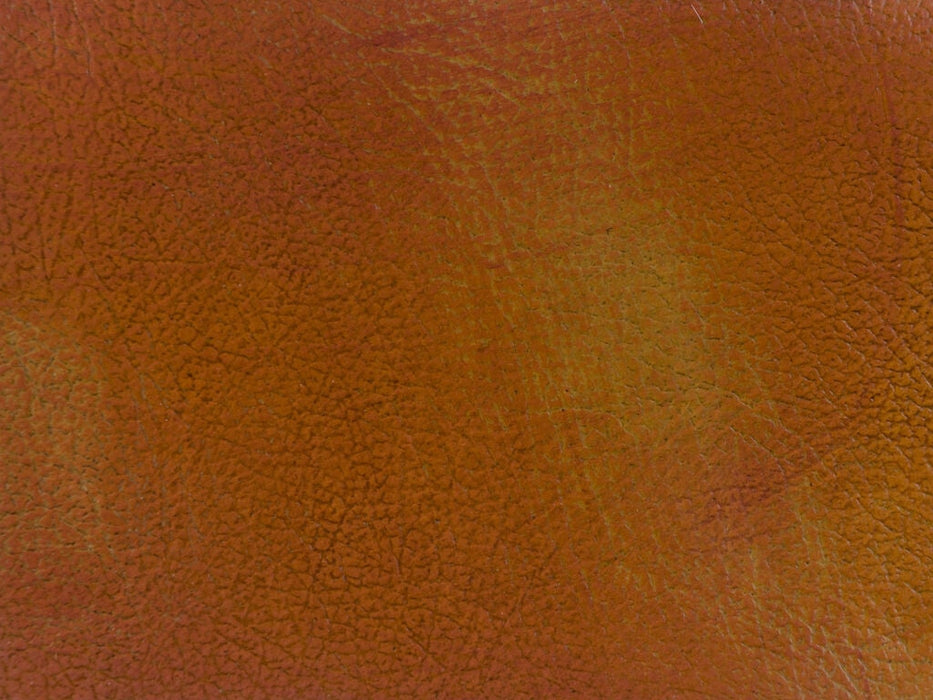 Kravet Couture L-Lucerne Harvest Leather L-LUCERNE.HARVEST.0