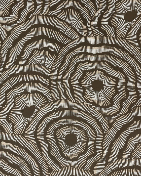 Kravet Couture Panache Wp Chocolate Wallpaper W3823.6116.0