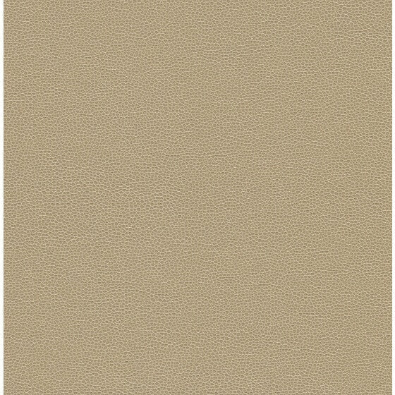 Kravet Design GILLIAN.116.0 Gillian-116 Fabric