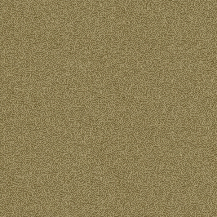Kravet Design PIETRA.11.0 Pietra-11 Fabric