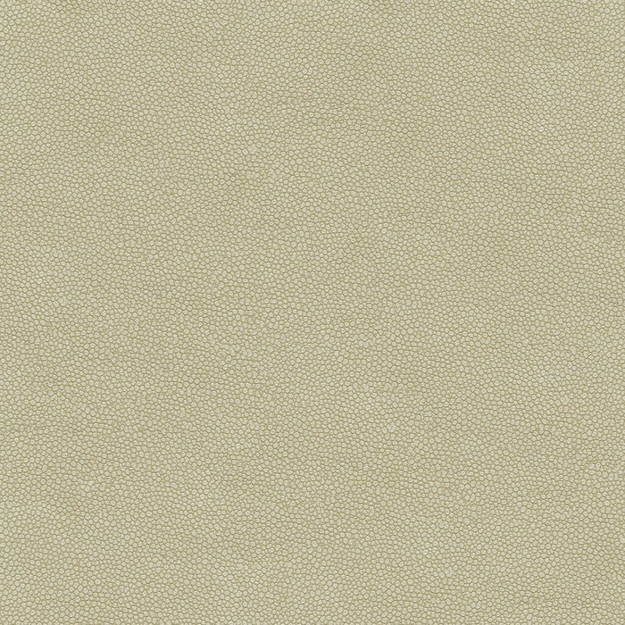 Kravet Design PIETRA.1111.0 Pietra-1111 Fabric