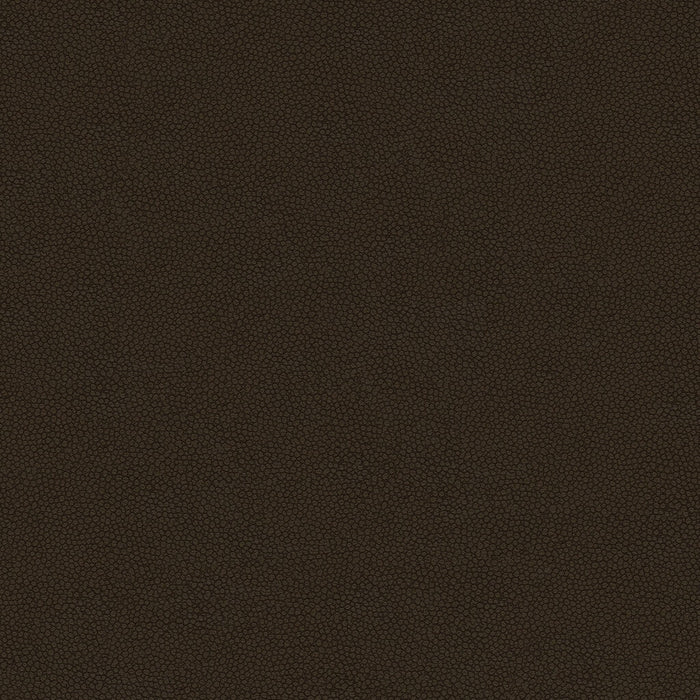 Kravet Design PIETRA.66.0 Pietra-66 Fabric