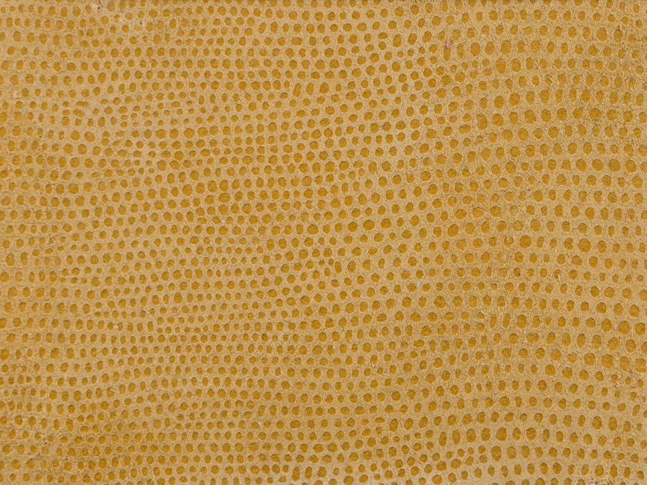 Kravet Design L-Vavoom Coin Leather L-VAVOOM.COIN.0