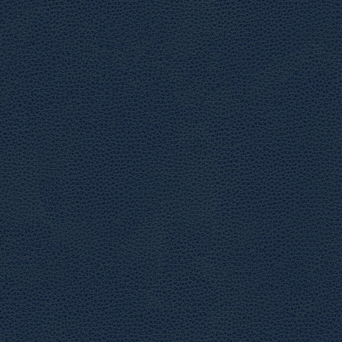 Kravet Smart RIGEL.5.0 Rigel-5 Fabric