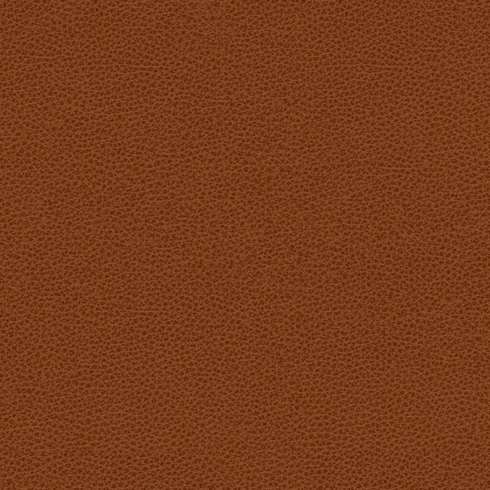 Kravet Smart RIGEL.24.0 Rigel-24 Fabric