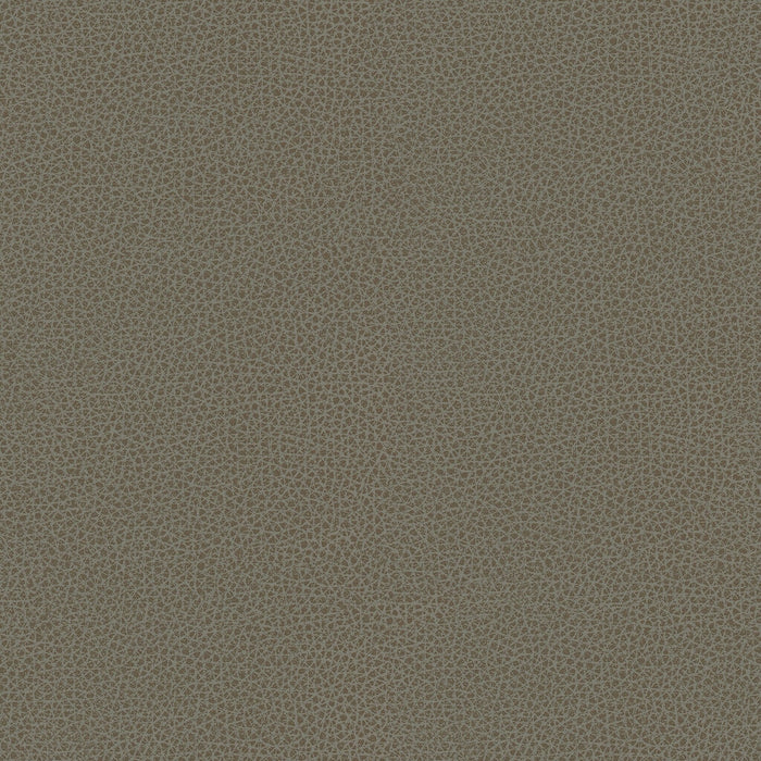 Kravet Smart RIGEL.11.0 Rigel-11 Fabric