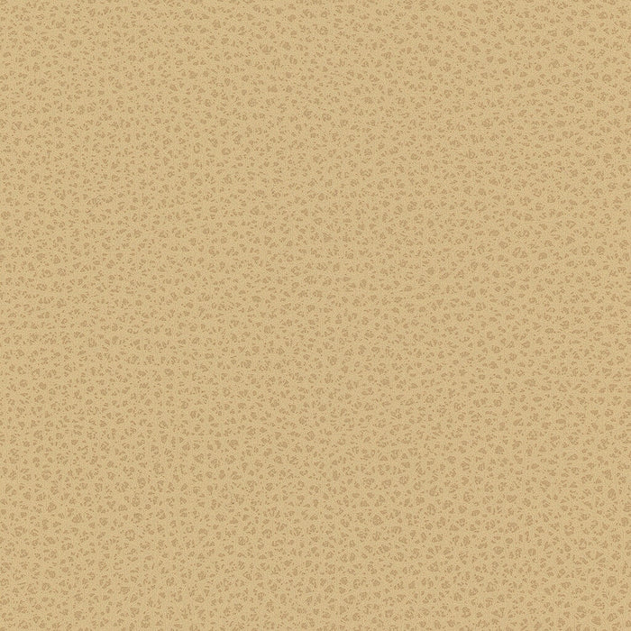 Kravet Smart RIGEL.16.0 Rigel-16 Fabric
