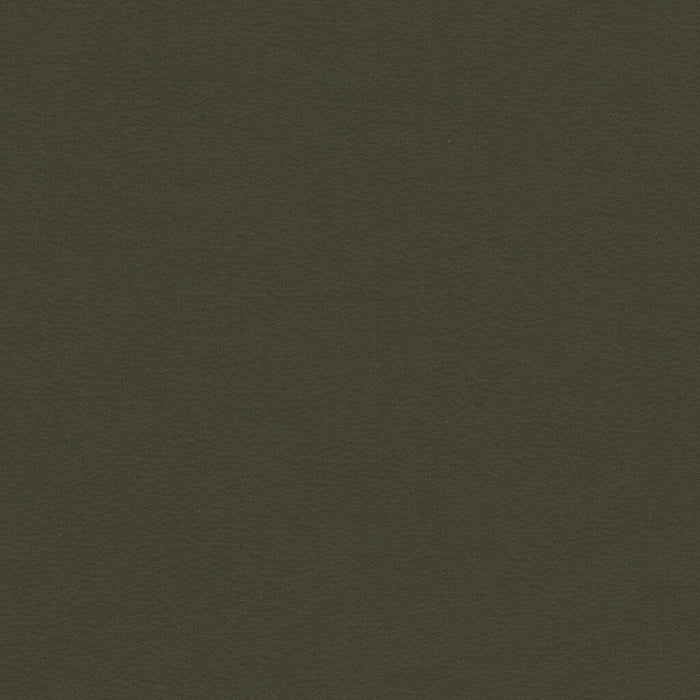 Kravet Smart NEWT.21.0 Newt-21 Fabric