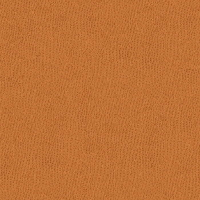 Kravet Smart OSSY.212.0 Ossy-212 Fabric