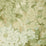Lee Jofa Arley Paper Spring Wallpaper P2019106.316.0