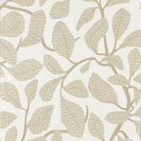 Scion Sweet Bay Wp Stone Wallpaper NSCW113270.SCN.0