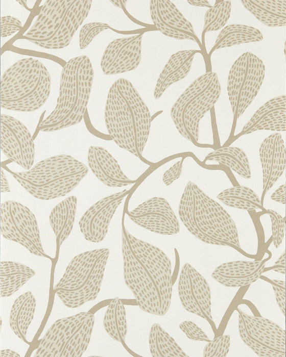 Scion Sweet Bay Wp Stone Wallpaper NSCW113270.SCN.0