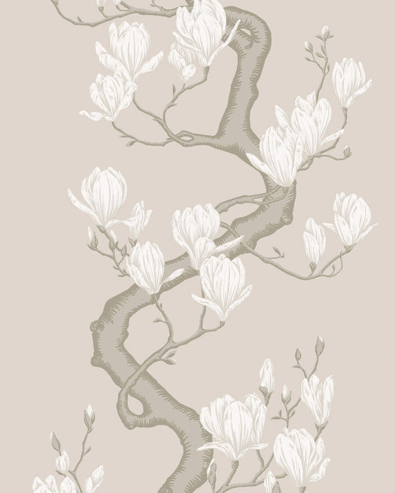 Cole & Son Magnolia Tree Soft Cream Wallpaper Sample 128/1003.CS.0