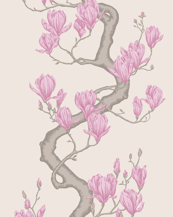 Cole & Son Magnolia Tree Parchment Wallpaper Sample 128/1002.CS.0
