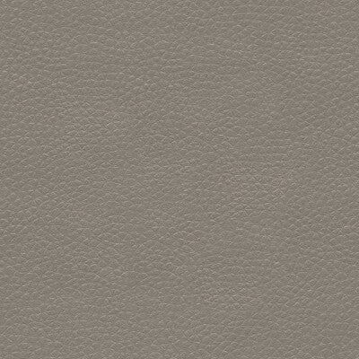 Kravet Couture Metaliskin Pewter Fabric Sample METALISKIN.11.0