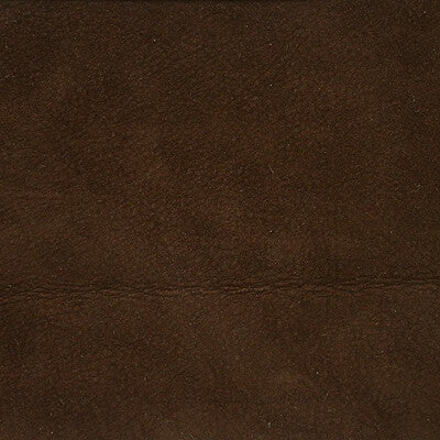 Kravet Design L-SAGUARO.MOCHA.0 L-Saguaro-Mocha Fabric Sample