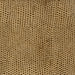Kravet Design L-Vavoom Tawny Fabric Sample L-VAVOOM.TAWNY.0