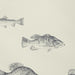 Kravet Design W4358.21.0 W4358-21 Wallpaper Sample