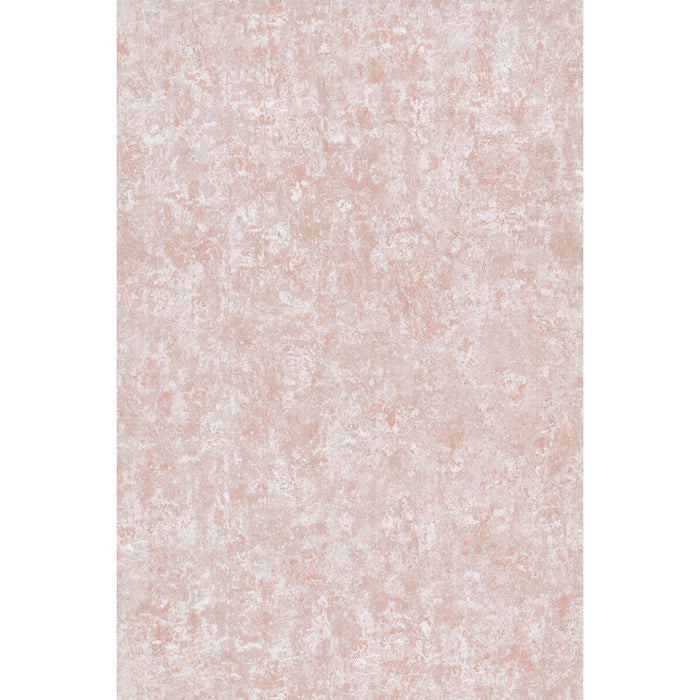Cole & Son Salvage Plaster Wallpaper Sample 92/11050.CS.0