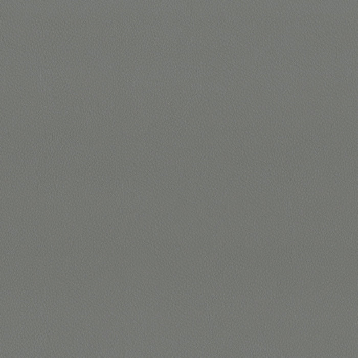 Brentano Landscape Graphite Fabric Sample 9414-40