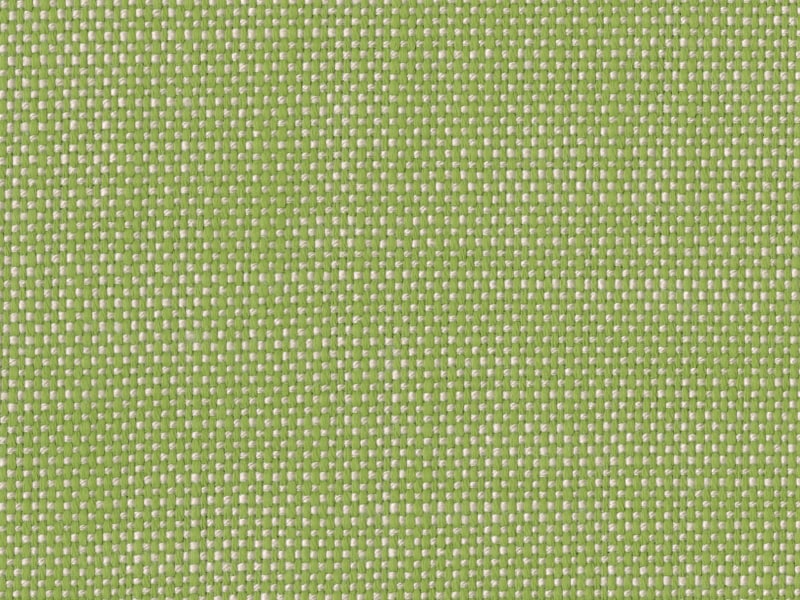 Perennials Rough 'n Rowdy R Green Fabric 955-428