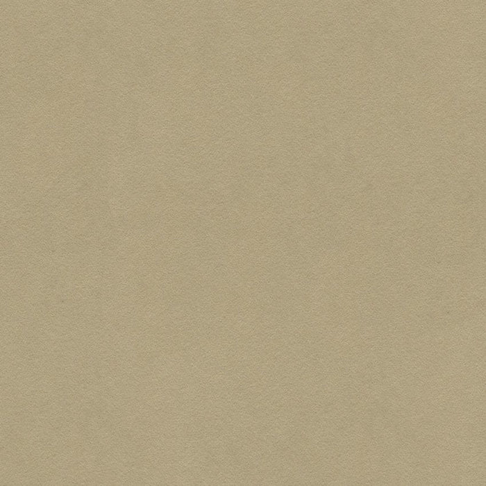 Lee Jofa Ultimate Pebble Fabric Sample 960122.1060.0