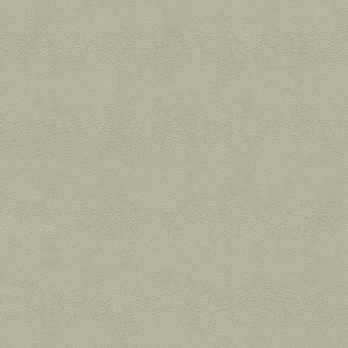 Lee Jofa Ultimate Ash Grey Fabric Sample 960122.2101.0