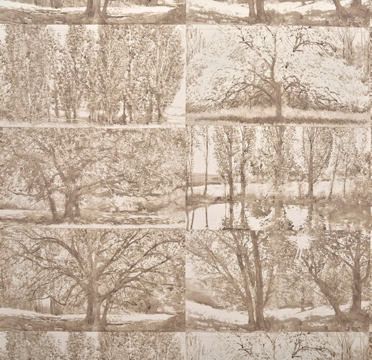 Pierre Frey Arbres Et Sous Bois Bouleau Wallpaper FP235001