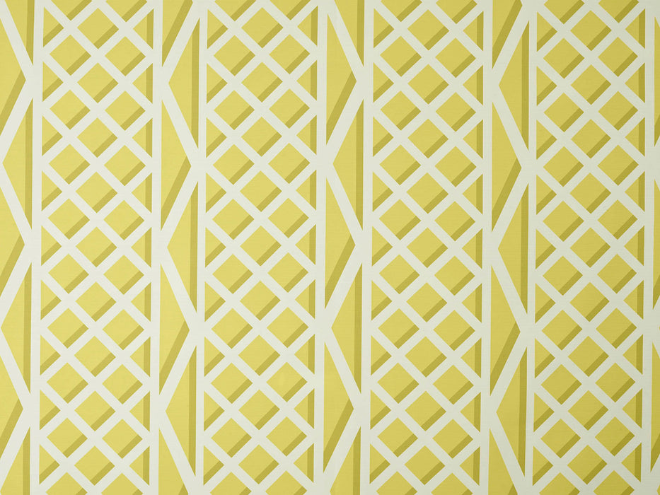 Pierre Frey Treillage Jaune Fabric Sample F3546001
