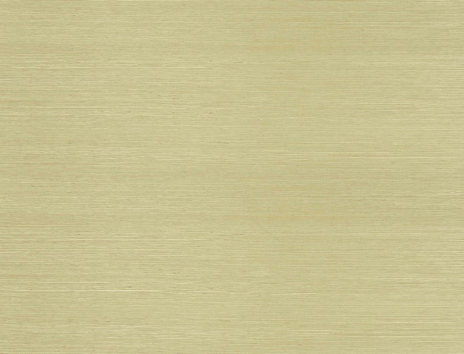 Jim Thompson Surat Sisal  Cafã‰ Au Lait Wallpaper JT021038003