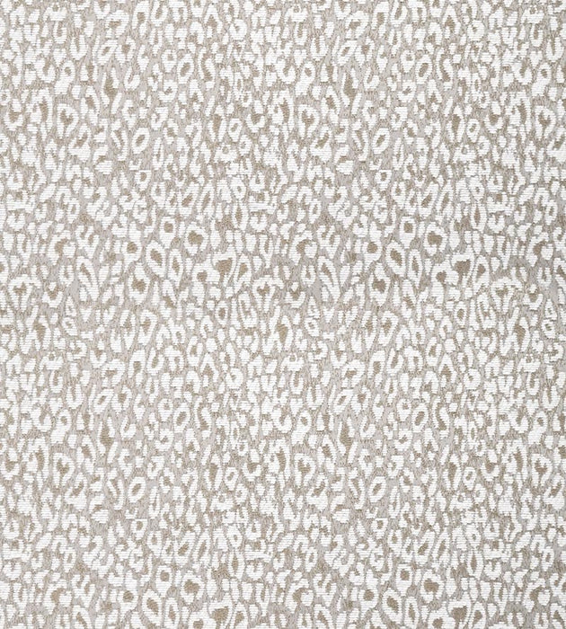 Aldeco Leopard White Star Fabric A9LEOP0001
