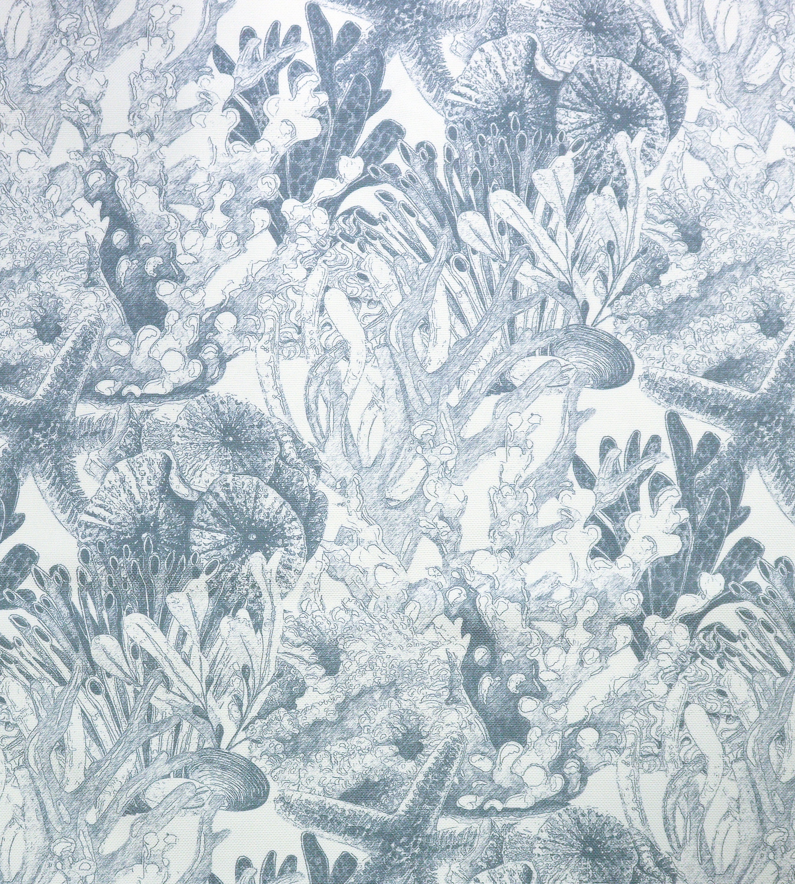 Aldeco Toile Sealife - Outdoor Fr Riverside Blue Fabric Sample A9TSEA0004