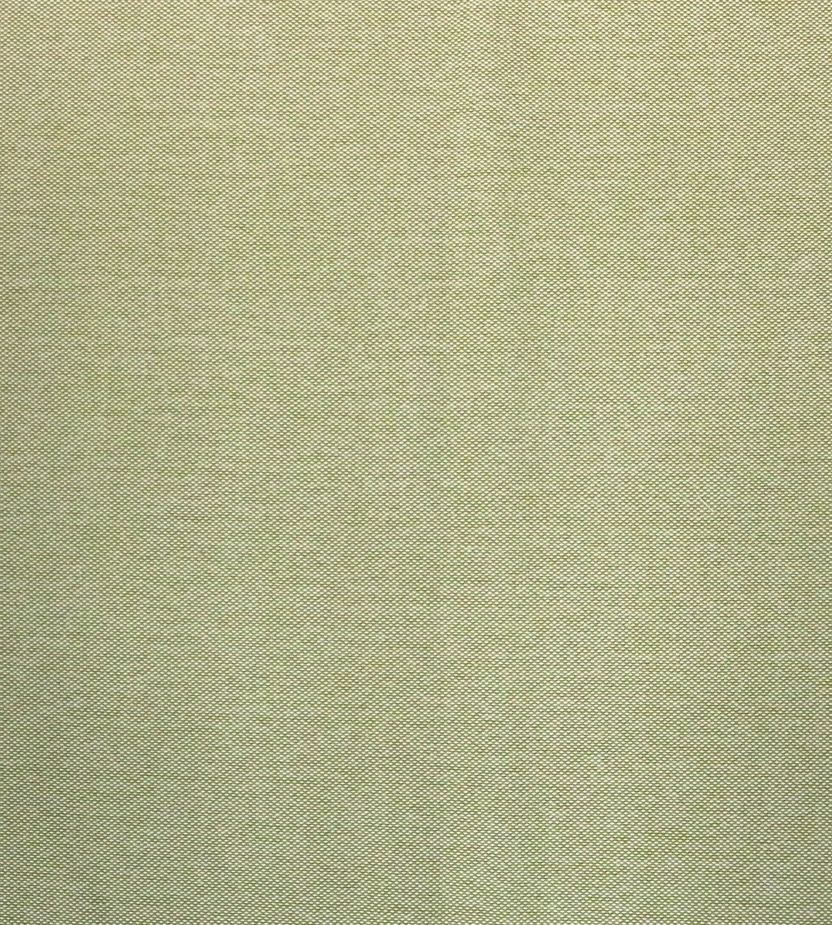 Aldeco Puka Puka - Outdoor Fr Misted Green Fabric Sample A9PUKA0013