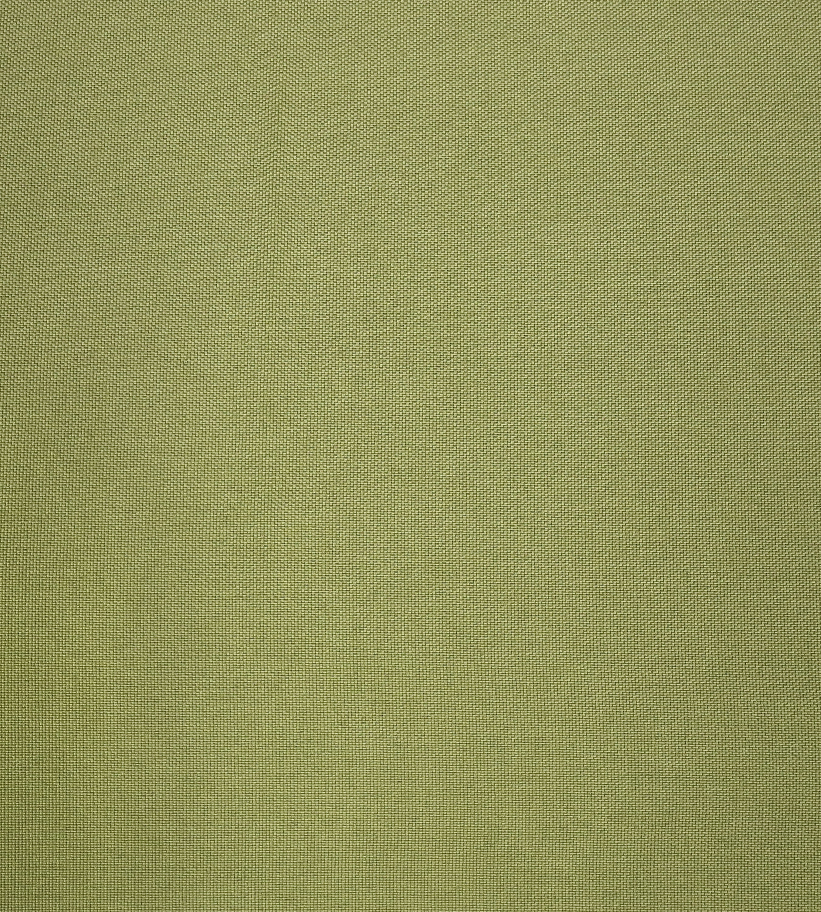 Aldeco Puka Puka - Outdoor Fr Eden Green Fabric Sample A9PUKA0014