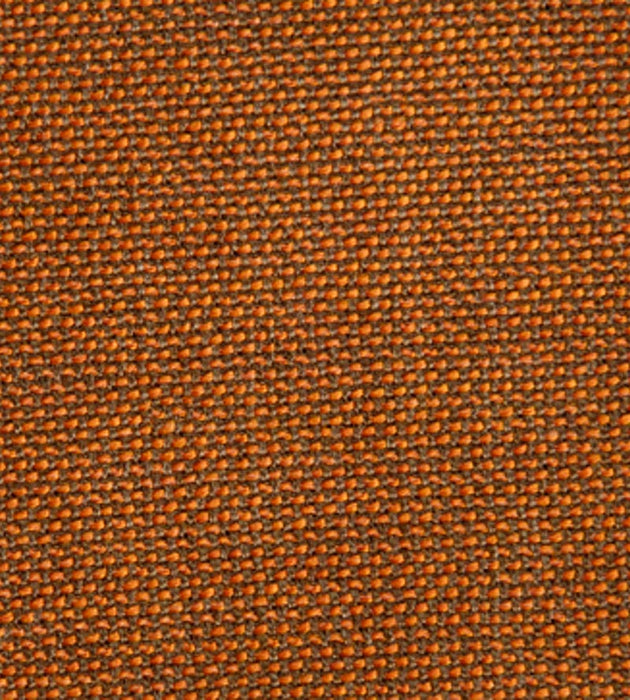 Aldeco Tulu Carrot Fabric Sample A975800018