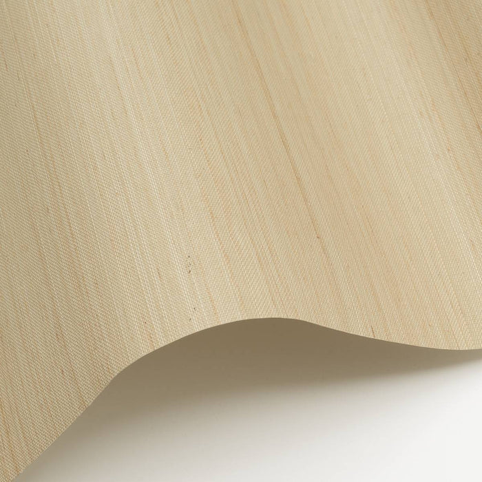 Nobilis Abaca 10 Wallpaper Sample ABA10