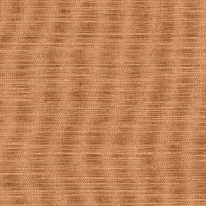 Nobilis Abaca 36 Wallpaper Sample ABA36