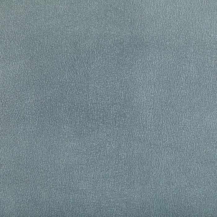 Kravet Contract Agatha Mineral Fabric Sample AGATHA.115.0