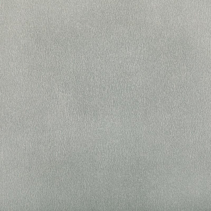 Kravet Contract Agatha Sterling Fabric Sample AGATHA.11.0