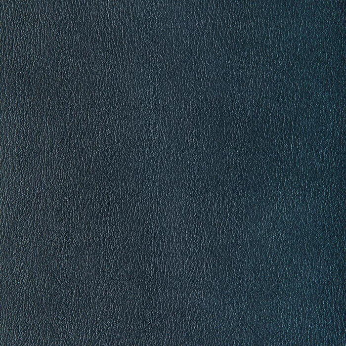 Kravet Contract Agatha Mercury Fabric Sample AGATHA.15.0