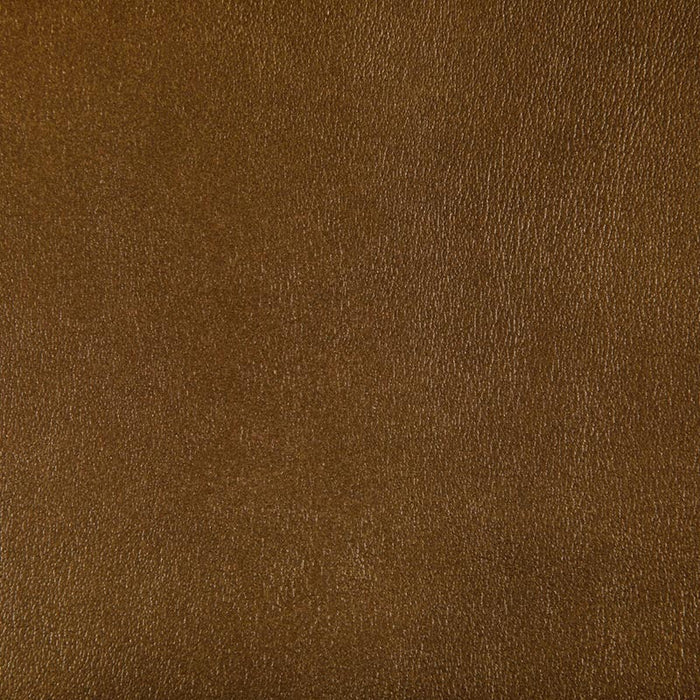 Kravet Contract Agatha Inca Fabric Sample AGATHA.404.0