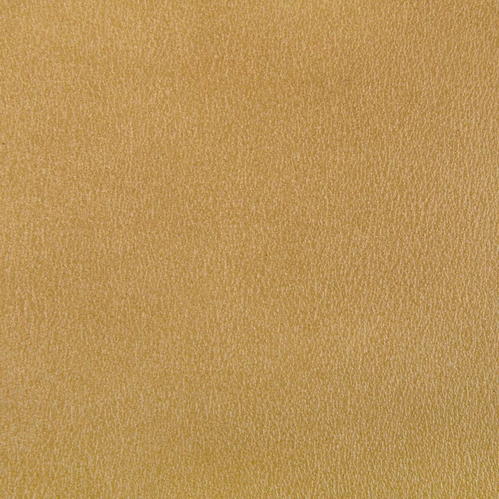 Kravet Contract Agatha Gilt Fabric Sample AGATHA.40.0