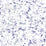 Seabrook Designs Splatter Metallic Silver, Lavender, & Robin''s Egg Wallpaper AH41709