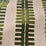 Pierre Frey Pegase Herbe Fabric F4119002