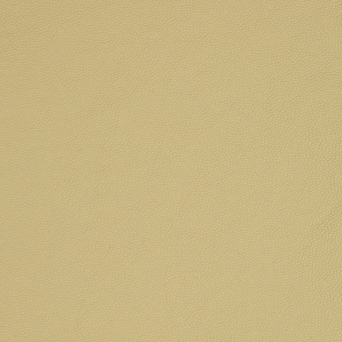 Kravet Smart Aldwin 16 Fabric Sample ALDWIN.16.0