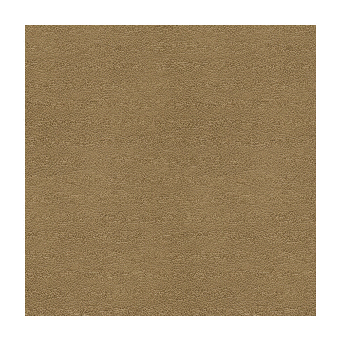 Kravet Smart Alina 106 Fabric Sample ALINA.106.0