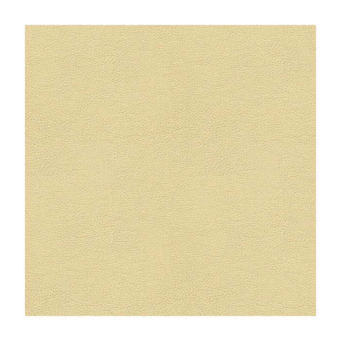 Kravet Smart Alina 116 Fabric Sample ALINA.116.0
