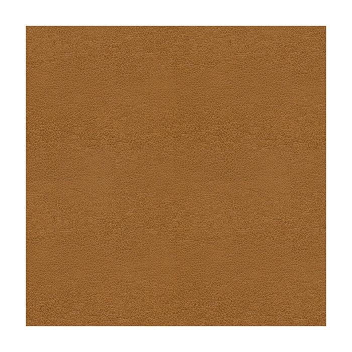 Kravet Smart Alina 16 Fabric Sample ALINA.16.0