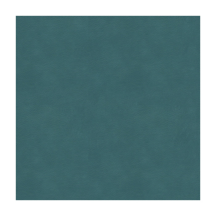 Kravet Smart Alina 5 Fabric Sample ALINA.5.0