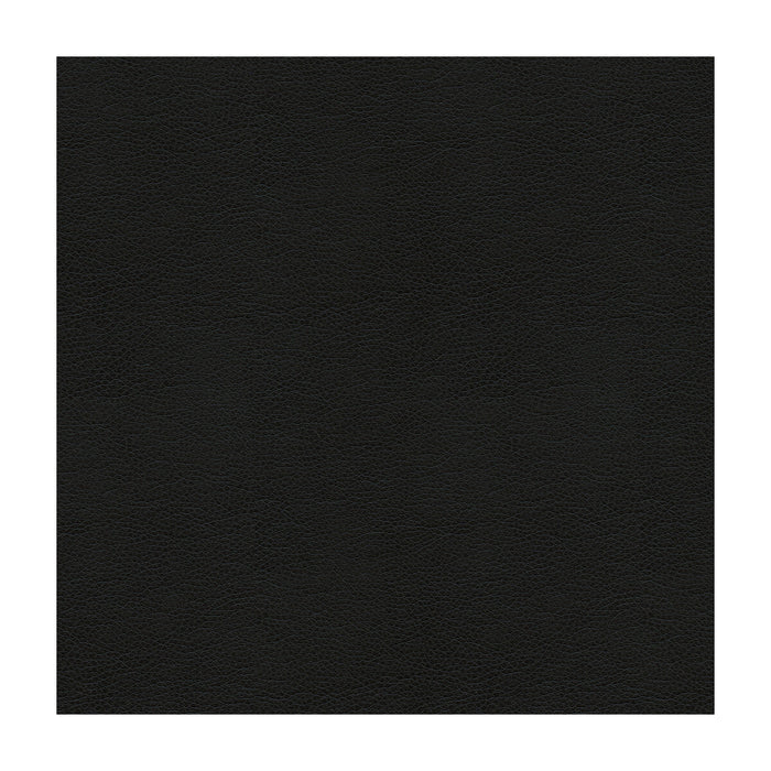 Kravet Smart Alina 8 Fabric Sample ALINA.8.0